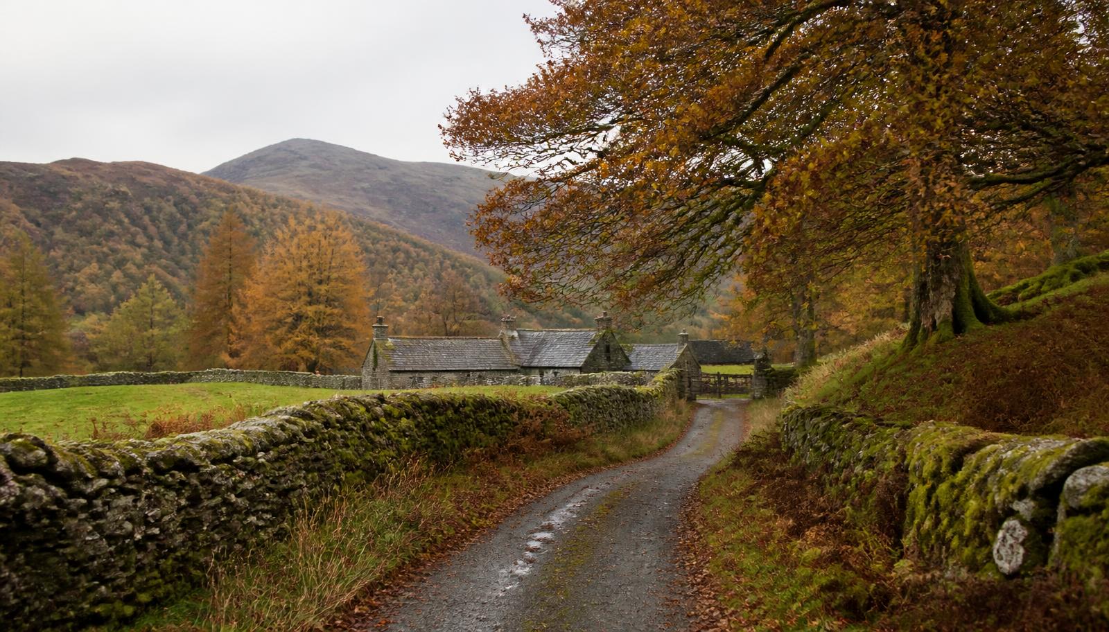 A quiet Lakeland lane with drystone walls in autumn